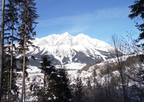 Pension Tilly - image 14