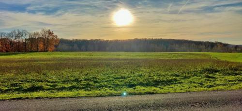 Le Gîte Nature Bien-Etre du Tarn entre Toulouse et Albi & Les Cottages du Tarn