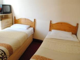 Olympia Inn Hotel, Лондон (фото 9)