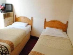 Olympia Inn Hotel, Лондон (фото 10)