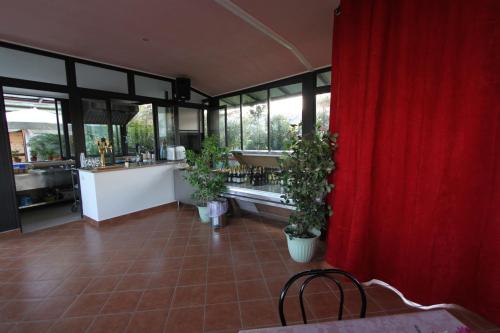 Villa Patrizia - image 14