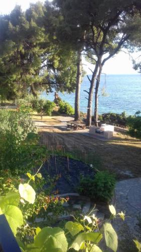  Seafront Grapevine Terrace in Elia