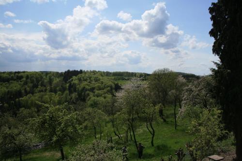 Fewo im Naturpark in Spiegelberg