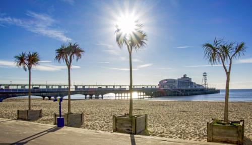 Surrounding environment, Holiday Home Hot Tub & Sauna in Talbot and Branksome Woods