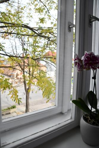  Home Sweet Home in Soltvadkert