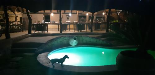 AFRICAN DREAMS GUESTHOUSE in Okahandja