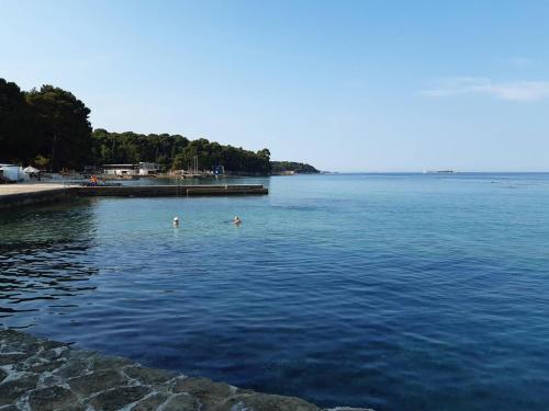 Apartment Dragana FAP 2+2 green oazis near the beach - image 7