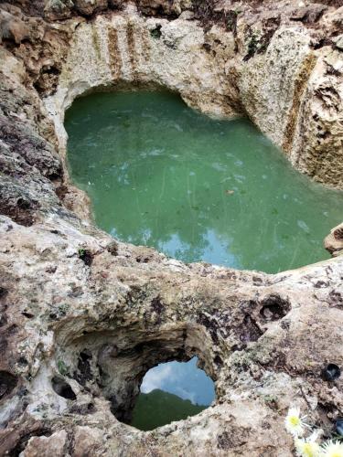 Aldea Maya-Ha Cabañas con cenotes