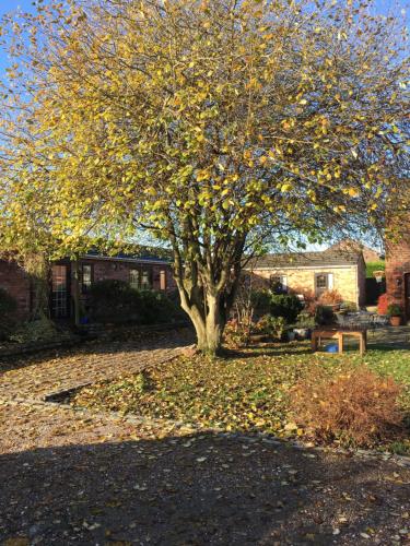 The Barn Bed and Breakfast - image 11