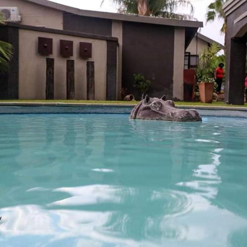 AFRICAN DREAMS GUESTHOUSE