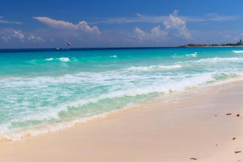 Beach, fun & relax at the Hotel Zone in Cancun, Cancún (foto 5)