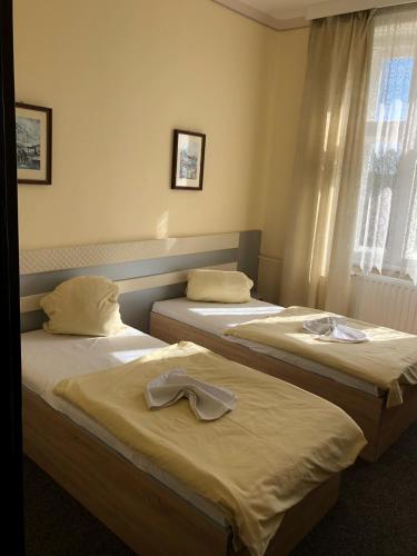 Hotel Piast in Cesky Tesin