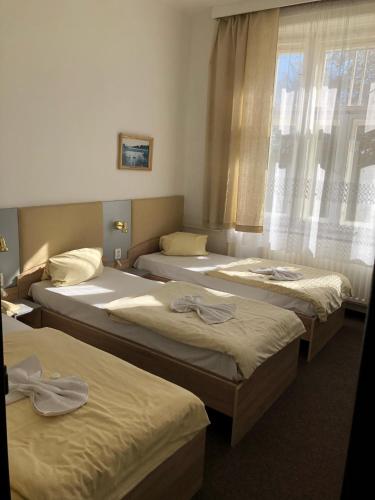 Hotel Piast in Cesky Tesin