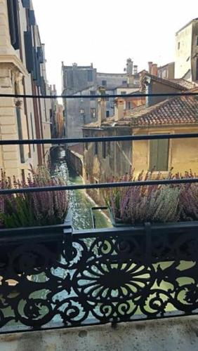 Casa Pisani Canal, Benátky (fotografie 8)