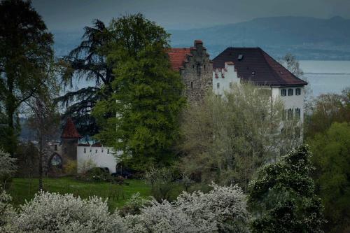 Schloss Wartensee