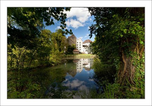 Schloss Wartensee - image 4