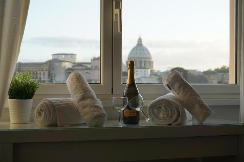 Panoramic View of St. Peter Rome 