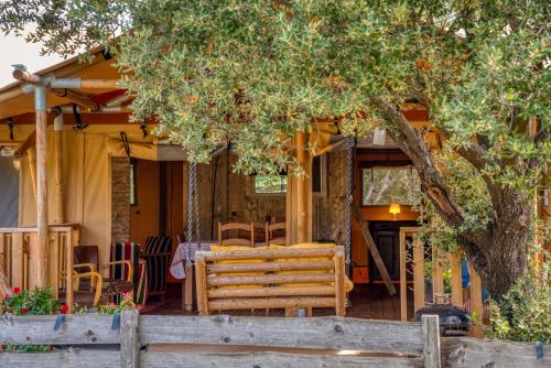 Glamping Tent Joy