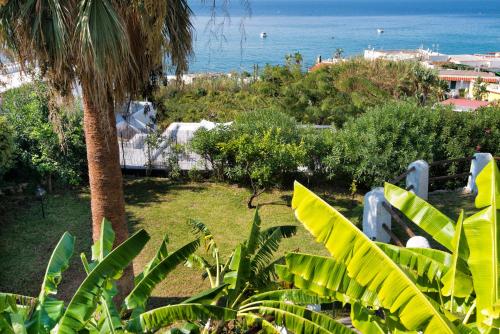 Hotel Citara - image 13