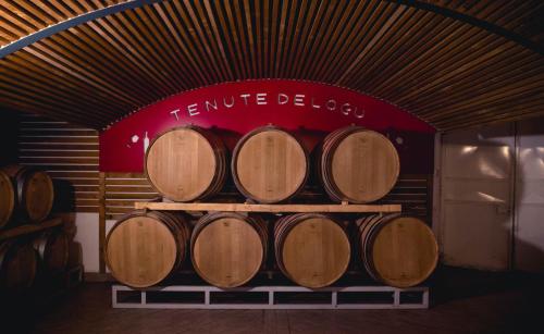 Tenute Delogu Wine Resort