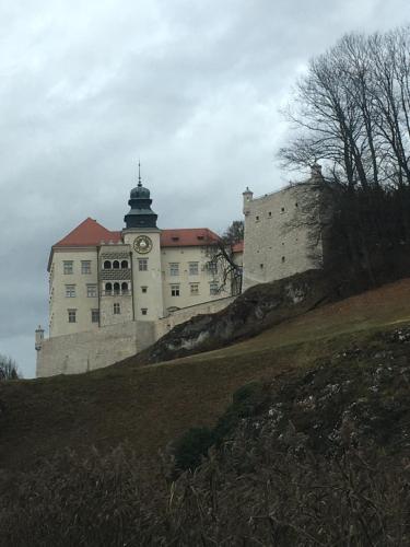 Herkules pokoje noclegi Pieskowa Skała Ojców - Hotel - Pieskowa Skała