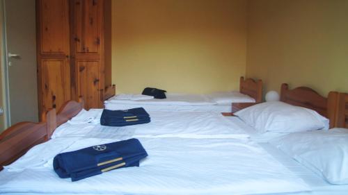 Terme Olimia - Apartment Village Lipa - image 12