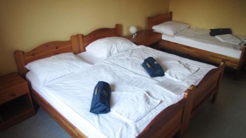 Terme Olimia - Apartment Village Lipa - image 6