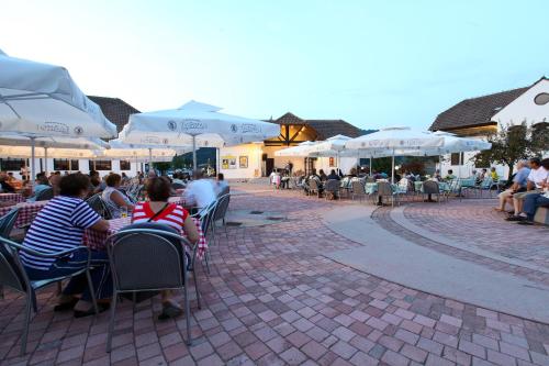 Terme Olimia - Apartment Village Lipa - image 7