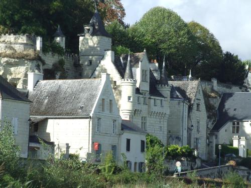La Sterne de Loire Charming House chambre d'hôte Souzay-Champigny