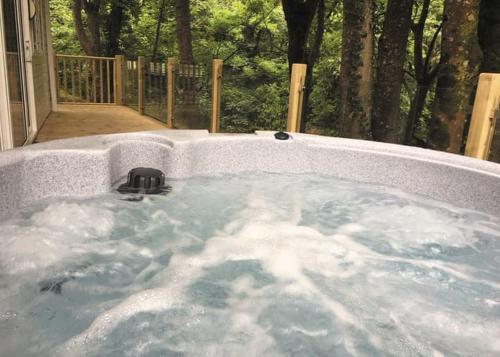 PET FRIENDLY POD WITH HOT TUB gîte à louer Dinorwic