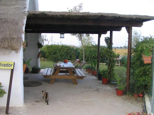 La Barraca d'en Salvador in Deltebre