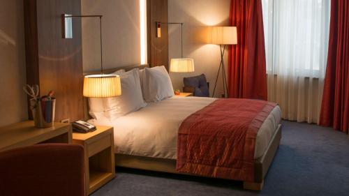 Diplomatic Suite with Lounge access image 10