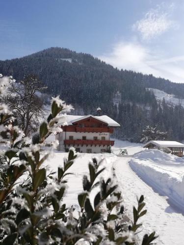 Urlaub am Bauernhof Rothof - Hotel - St Johann im Pongau