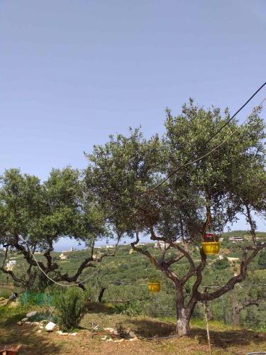 Calm and Top view in Chania countryside - Location saisonnière - Xamoudhokhórion