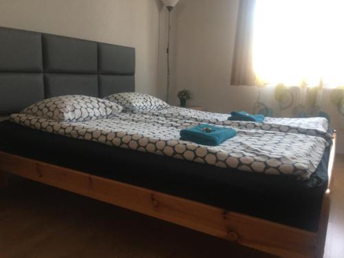 livingROOM_Wroc_Mosiężna, Wrocław (zdjęcie 8)