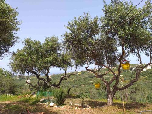  Calm and Top view in Chania countryside in Xamoudhokhórion