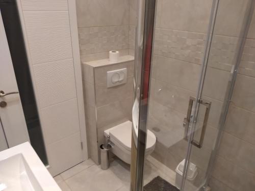 One-Bedroom Apartment image 5