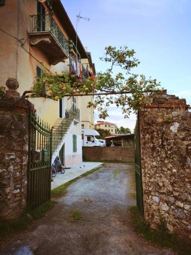 Cà del Vins - Studio Flat in La Spezia