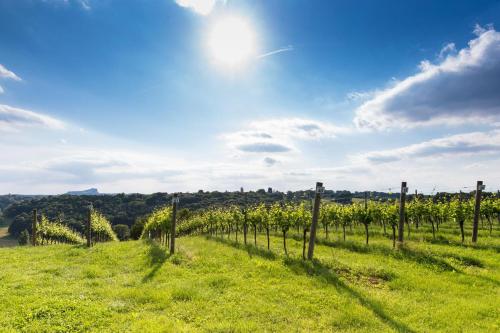 Himmlisch Urlauben Söchau