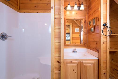 Cloud Nine at Sherwood Forest, Pigeon Forge (fotografie 8)