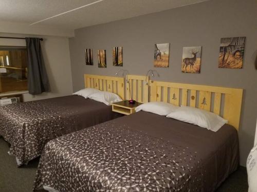 Northern Lights Inn - image 3