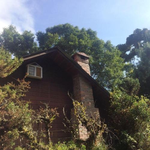 Cabaña de montaña La Magnolia, Cerro de la Muerte De La Cañuela Cloud Forest