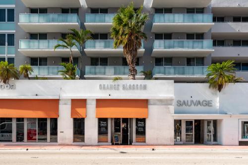 Boulan South Beach - image 8