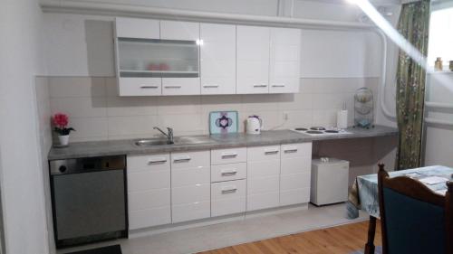 Apartment Wills - Grbavica
