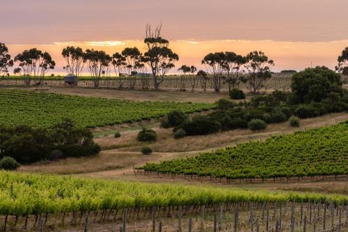 Hotel California Road at Inkwell Wines