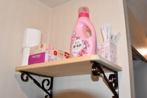 Cozyhouse 310 free wifi a rented electric bicycle