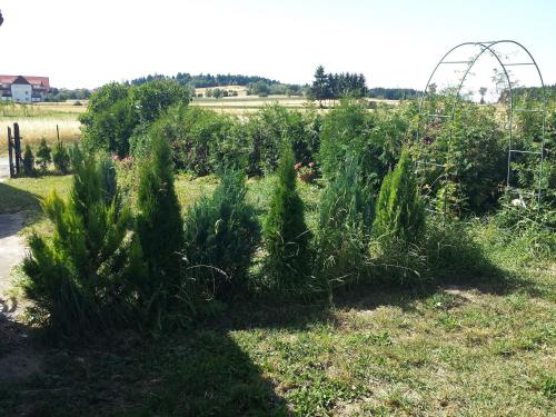 Ferienhaus Peter in Dietmanns bei Waidhofen