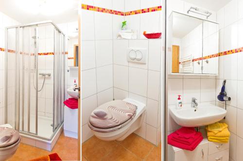 Ferienwohnung Oberloschwitz, Dresden (photo 9)