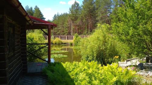 Apkārtne, Затишна садиба з озером біля лісу in Ivankiv