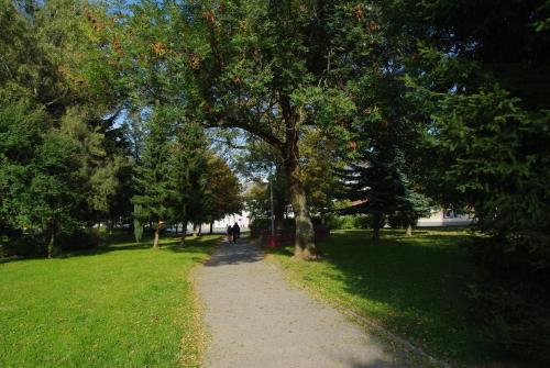 Hostel Humpolec - image 11